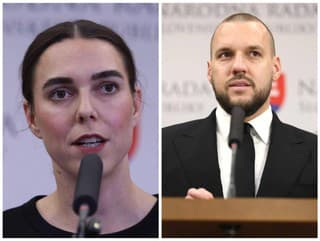 Poslanci PS Tamara Stohlová