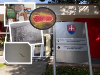 Špina, larvy a nebezpečná