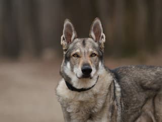 Samospráva Istanbulu zakročila proti
