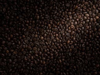 Mozgová výzva roka: Dokážete