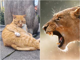 Minúty hrôzy na základnej