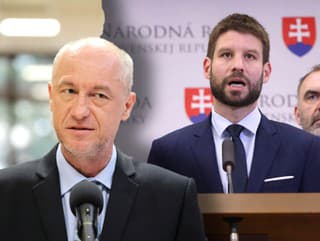 Exminister hospodárstva si podal