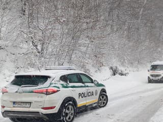 Sneženie paralyzuje dopravu: V