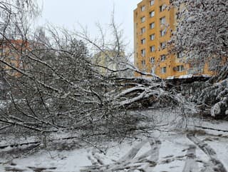 Hasiči zasahovali v Žilinskom