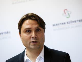 Predseda strany Maďarská aliancia