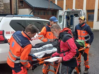 Turistka zrazená sánkarom pod