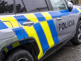 Polícia zadržala dvoch hľadaných