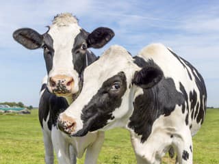 Nové opatrenia v boji