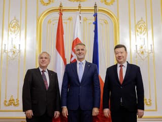 Na snímke uprostred predseda