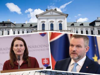 Poslankyňa Holečková sa pustila