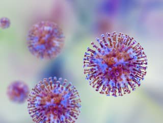 Vo Francúzsku museli izolovať