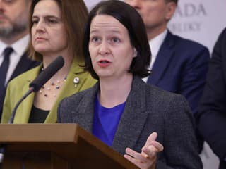 Progresívne Slovensko iniciuje kontrolu