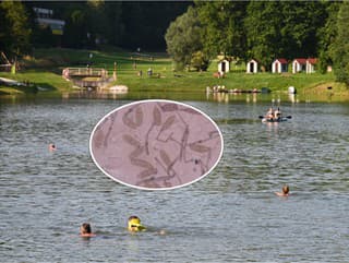 Skrytá HROZBA v obľúbenej