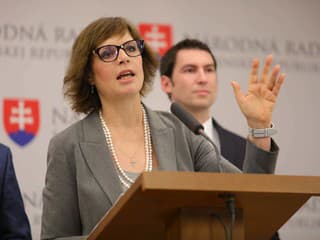 Vláda hasí problém na