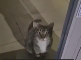 Tajomný narušiteľ spustil alarm!