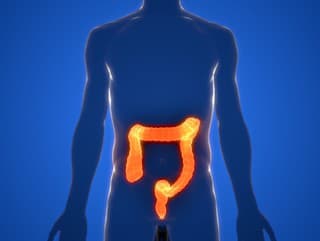 Osvojte si tieto nočné