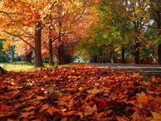 TEST pre sokolie oči: