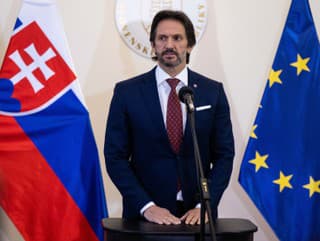 Podpredseda Vlády SR a