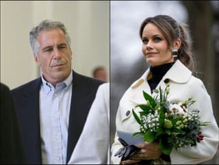 Jeffrey Epstein a princezná