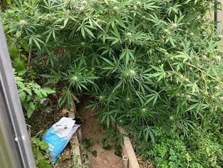 Polícia obvinila z drogového