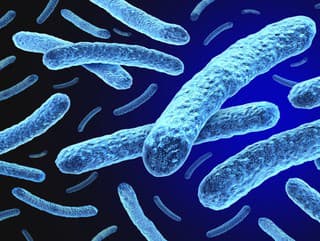 Lepra sa po desaťročiach