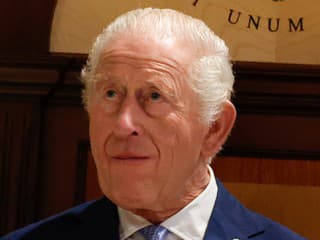 Kráľ Karol bojuje s