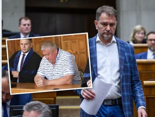 Najvyšší súd SR podľa