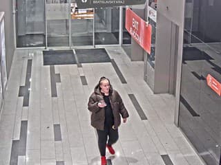 Polícia vyšetruje krádež olejomaľby