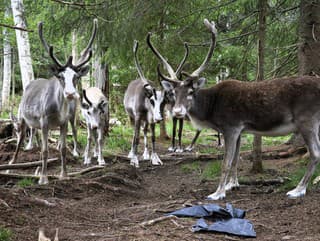 10 zaujímavostí o soboch: