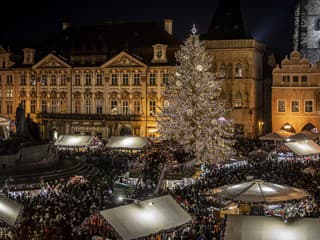 Vianočný stromček v hlavnom