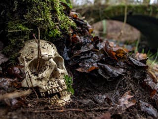 Šokujúci nález! V lese