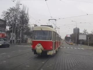 Delikvent sa vyváža v