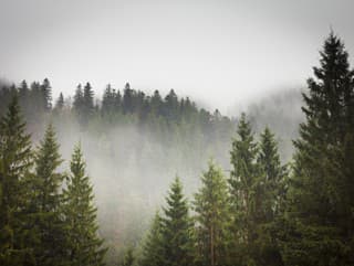 Hustá hmla naďalej nestupuje: