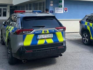 Zlodej kradol v bratislavskom