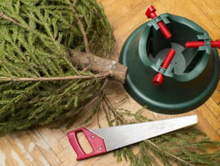 Vianočný stromček môže vydržať