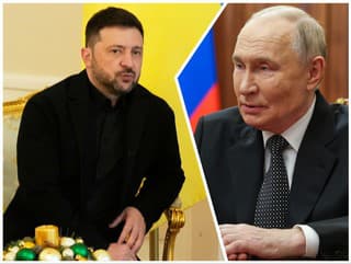 Volodymyr Zelenskyj a Vladimir