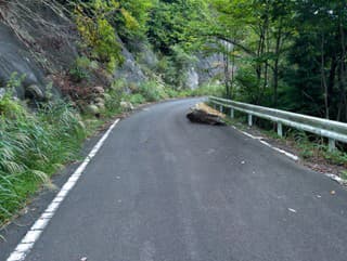 Vodiči, POZOR: Na horskom