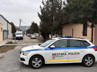 Rekordný rok bratislavskej Mestskej