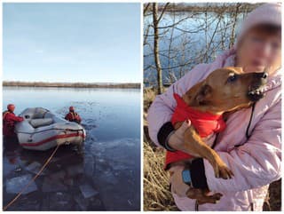 Psík Denis sa ocitol