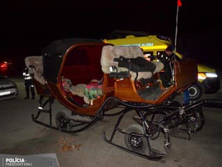 Splašené kone v centre