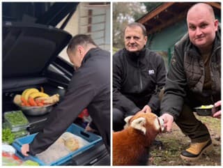 Do bojnickej ZOO zavítali