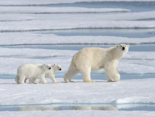 Dojemný príbeh z kanadskej