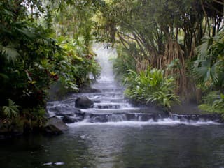 Rajská záhrada nemusí byť