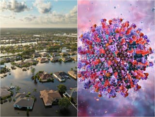 Proroctvo japonskej Baby Vangy