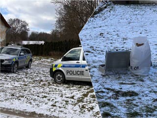 Už tretia vražda tento