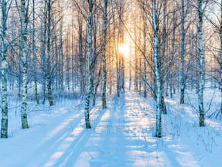 Blížia sa SILNÉ MRAZY: