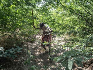 Hotová nočná mora: Invázny