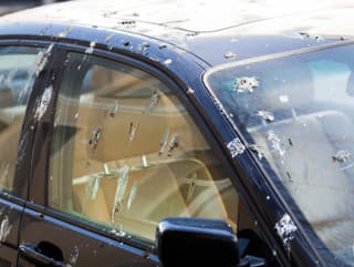 Vtáky si pamätajú vaše