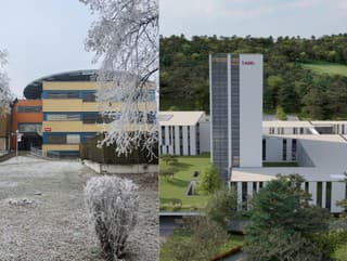 Dvaja vížazi svojich kategórii