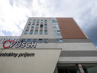 Východoslovenský ústav srdcových a